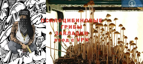 ГАЛЛЮЦИНОГЕННЫЕ ГРИБЫ Семикаракорск