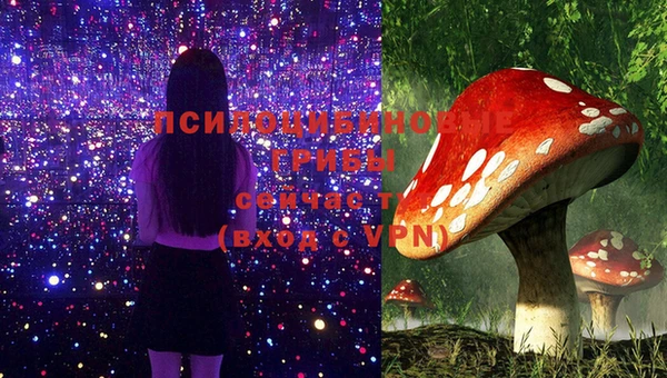 гидра Семилуки