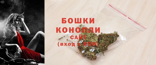 шишки Грязовец