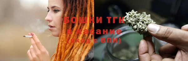 ПСИЛОЦИБИНОВЫЕ ГРИБЫ Семёнов