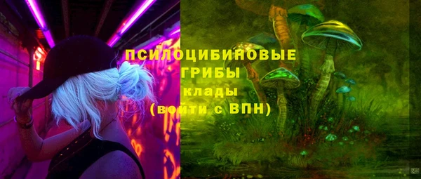 ГАЛЛЮЦИНОГЕННЫЕ ГРИБЫ Семикаракорск