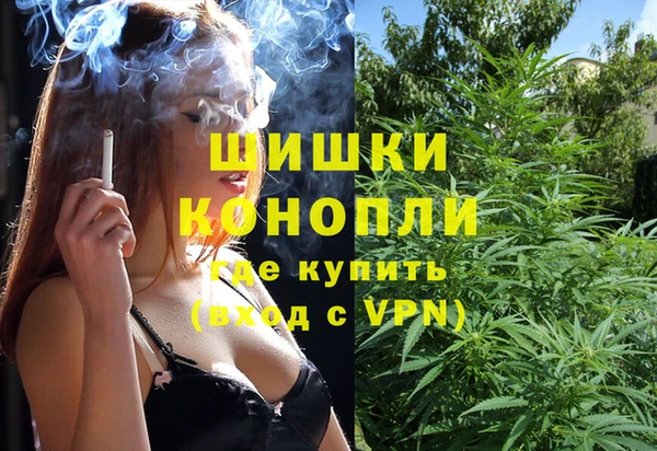 гидра Семилуки