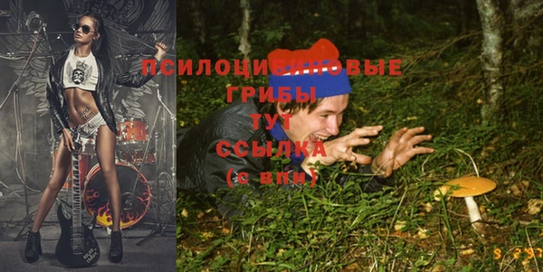 ГАЛЛЮЦИНОГЕННЫЕ ГРИБЫ Семикаракорск